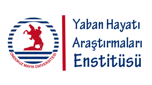 Çalıştay Sonrası Teşekkür Yazısı